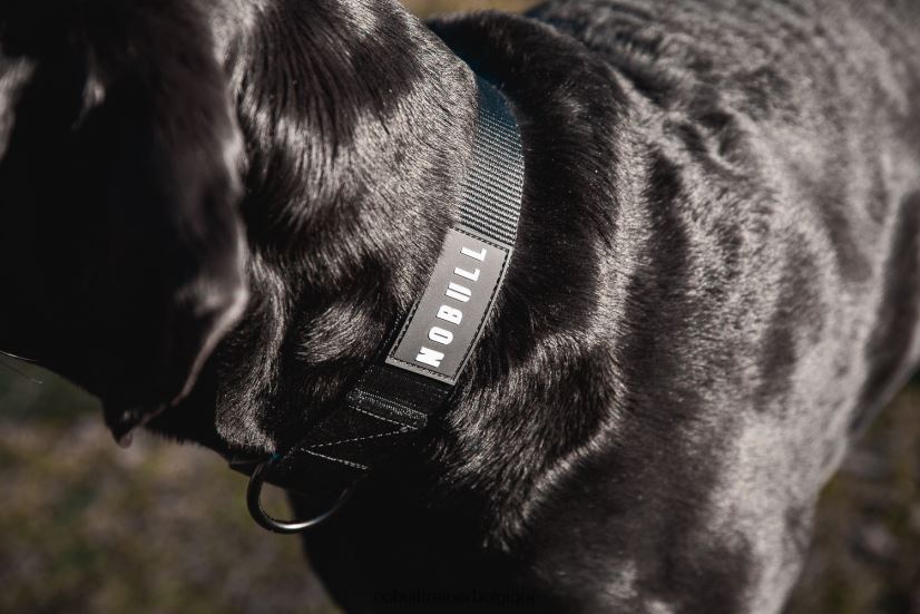 NOBULL collier de chien (1,5 pouce)88R8PT2965