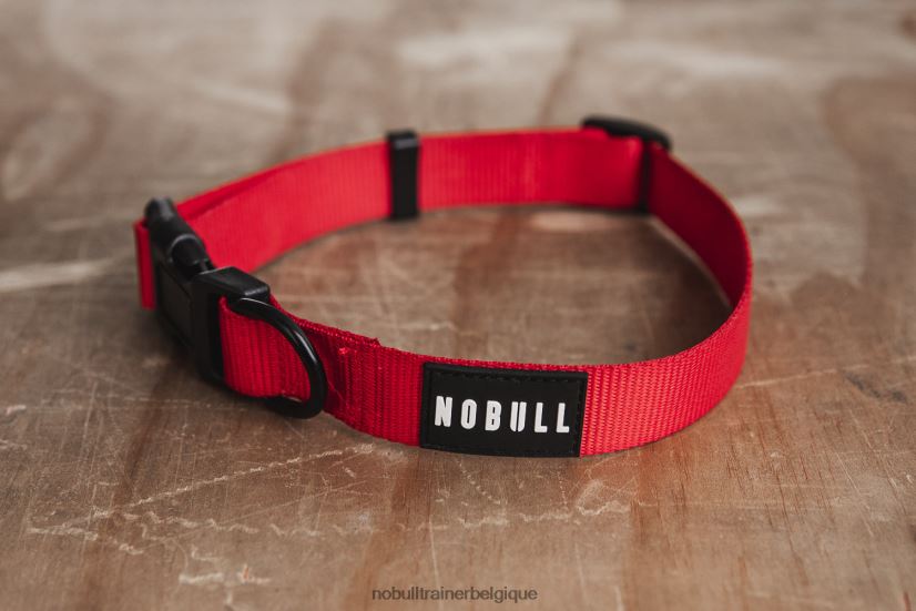 NOBULL collier pour chien (1 pouce) rouge88R8PT2963